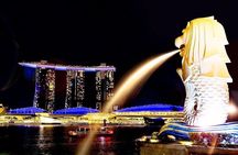 Singapore Private Customized City Tour with Driver