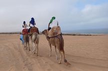 Mini Sahara in 4x4 Cultural Visit and Traditional Lunch