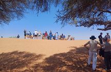 Mini Sahara in 4x4 Cultural Visit and Traditional Lunch