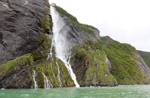 Half Day Boat Tour to Balmaceda and Serrano Glaciers