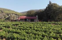 Shore Excursion, Wine and Village Tour from Bodrum Port
