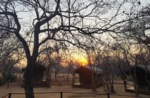 2 Day Sekekama Glamping Safari