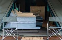 3 Day Glamping Safari in Kruger National Park 