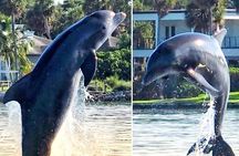 2 Hr Dolphin Melbourne, Merritt Island ,Cocoa Beach.1030 am