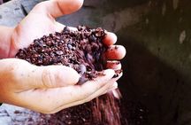 Chocolate Tour Basic: Self-drivers without lunch