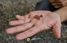 Chocolate Tour Basic: Self-drivers without lunch