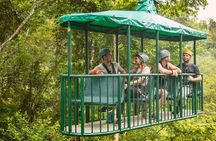 Rainforest Aerial Tram Tour in Jaco, Costa Rica