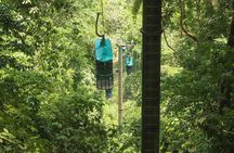 Rainforest Aerial Tram Tour in Jaco, Costa Rica