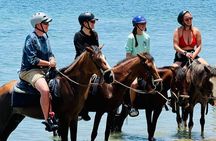 Roatán Jungle Horseback Riding and Beach Escape