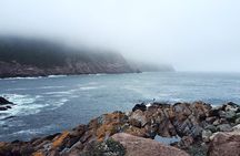 Scenic Bus Tour of the Northeast Avalon from St. John's