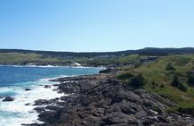 Scenic Bus Tour of the Northeast Avalon from St. John's