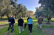 A Taste of Kapiti - Kapiti Foodie Delights Tour