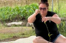 Hawaiian Culture Experience with Lei Making on Big Island
