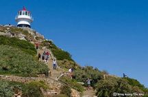 Cape Point, Cape of Good Hope & Boulders Beach Penguins Day Tour
