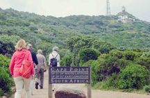 Cape Point, Cape of Good Hope & Boulders Beach Penguins Day Tour