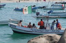 Dolphin and Whale Watching Boat Trip in Puerto Escondido