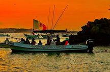 Dolphin and Whale Watching Boat Trip in Puerto Escondido
