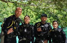  Tulum Cenote DOS OJOS Unforgettable Scuba Dive Tour