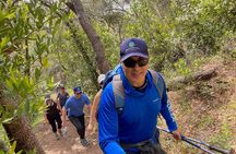 Sonoma Private Hike and Wine Tour