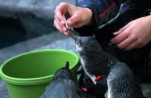 Skip the Line: Franz Josef Wildlife Center Ticket with Optional Backstage Pass