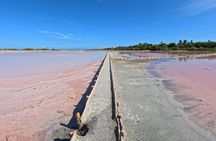 Full Day Vamos Pa la Isla Southwest Experience 