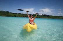 Bacalar: Seven Colors Lagoon Boat Tour