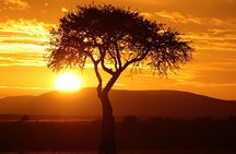4-Day Masai Mara Safari adventure