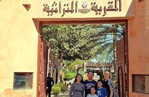 Abu Dhabi Layover City Sightseeing Tour - Private & Flexible