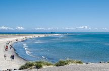 Skagen Private Half Day Tour from Cruise Port