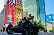 Private Trikke Tour in Tokyo from a Unique Perspective