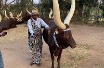 One Day King’s Palace, Ethnographic Museum Tour w/ Coffee Option