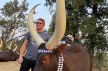 One Day King’s Palace, Ethnographic Museum Tour w/ Coffee Option