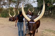 One Day King’s Palace, Ethnographic Museum Tour w/ Coffee Option