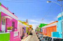 Cape Peninsula Full Day Tour with Penguins and Ocean Views