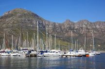 Cape Peninsula Full Day Tour with Penguins and Ocean Views