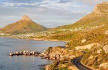 Cape Peninsula Full Day Tour with Penguins and Ocean Views