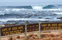 Cape Peninsula Full Day Tour with Penguins and Ocean Views