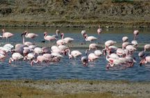 Private 3 Day Adventure through Dholavira and White Desert Rann