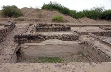 Private 3 Day Adventure through Dholavira and White Desert Rann