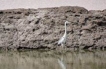 Private 3 Day Adventure through Dholavira and White Desert Rann