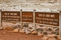 Cape Peninsula Tour Good Hope Boulders Beach