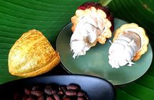 Discover Mauritian cocoa!