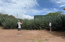 San Sebastián del Oeste Tour Coffee Tequila and Colonial Charm