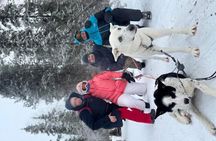 Ultimate Combo! Husky Safari & Reindeer Sleigh Ride