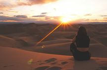 Sunset or Night Desert Safari With Optional BBQ Meal