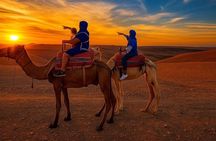 Agafay Desert Camel Ride, Quad Bike and Dinner Show 