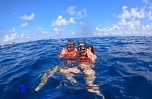 Private Whale Shark Adventure in Isla Mujeres and Cancun