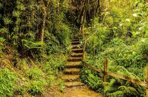Salt Cathedral & Lake Guatavita: Private Transfer from Bogota