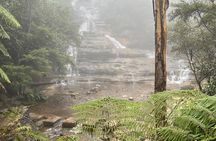 Sydney to Blue Mountains Private Day Tour with Irene