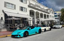 See it All in One Tour!! 6hr VIP Full Experience of Miami!!